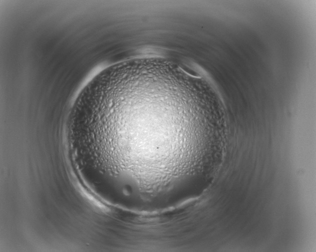 X0000082151243200701262300