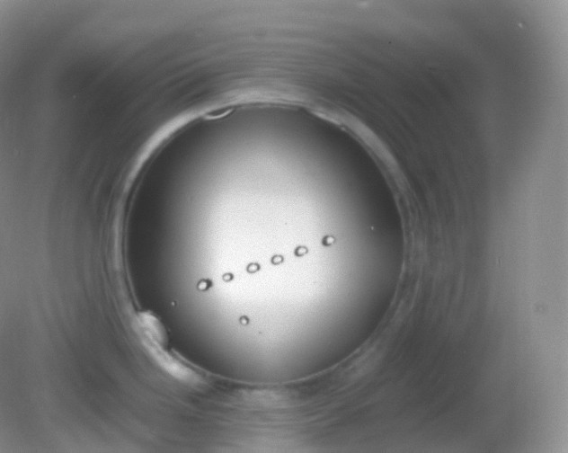 X0000082151246200701262300