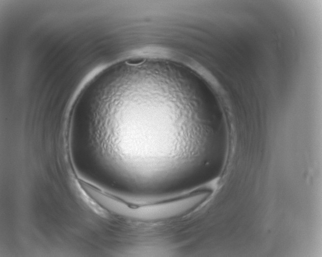 X0000082151248200701262300