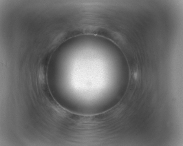 X0000082151252200701262259
