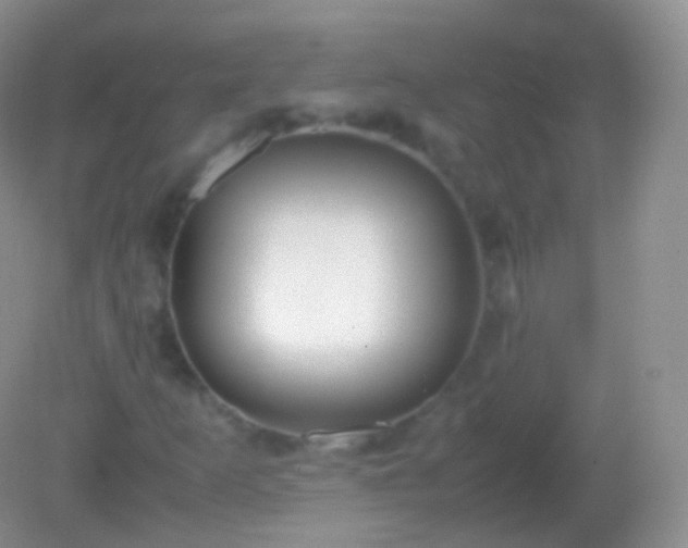 X0000082151253200701262259