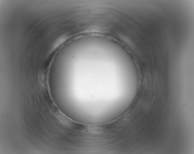 X0000082151258200701262259