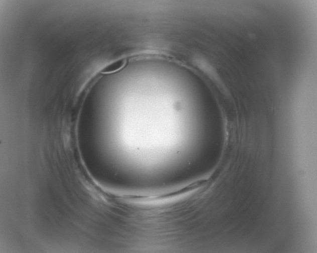 X0000082151260200701262259