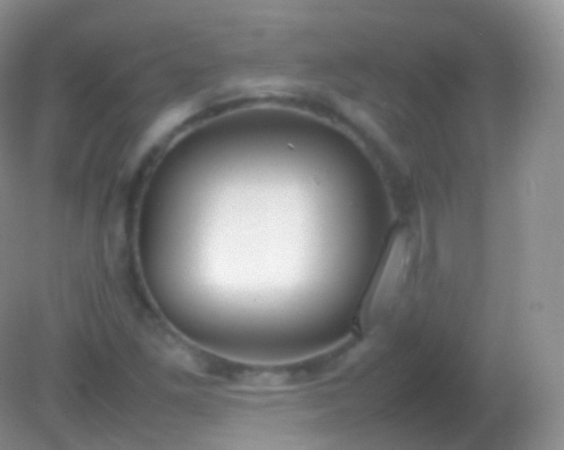 X0000082151261200701262259