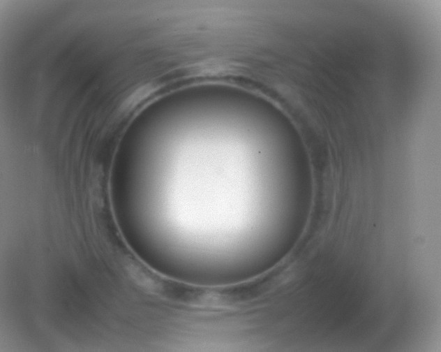 X0000082151265200701262259