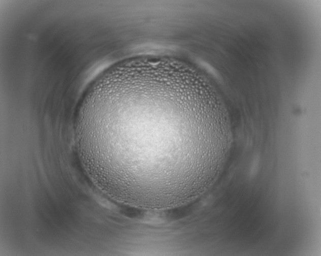 X0000082151267200701262259