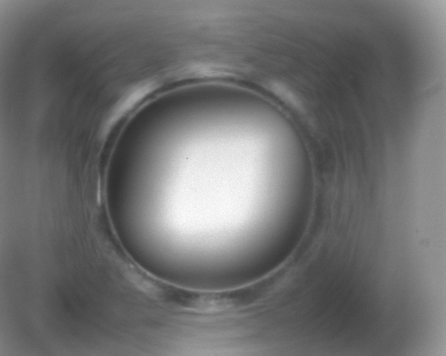 X0000082151269200701262259