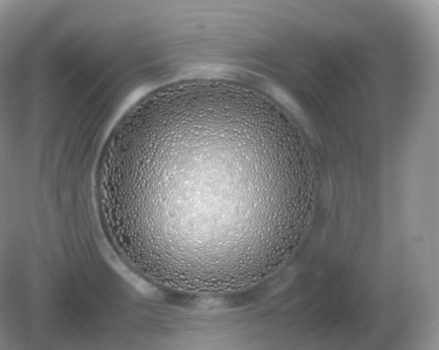 X0000082151283200701262259
