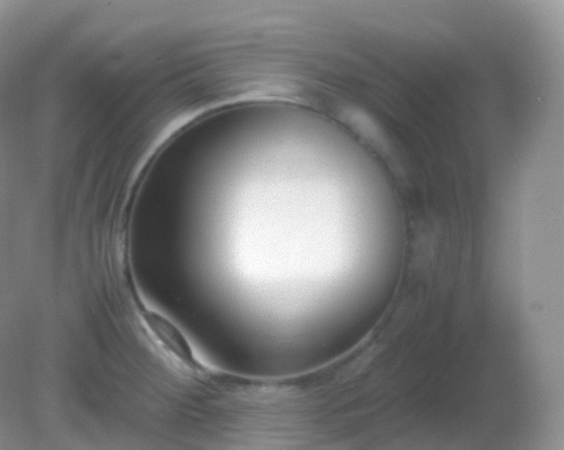 X0000082151284200701262259