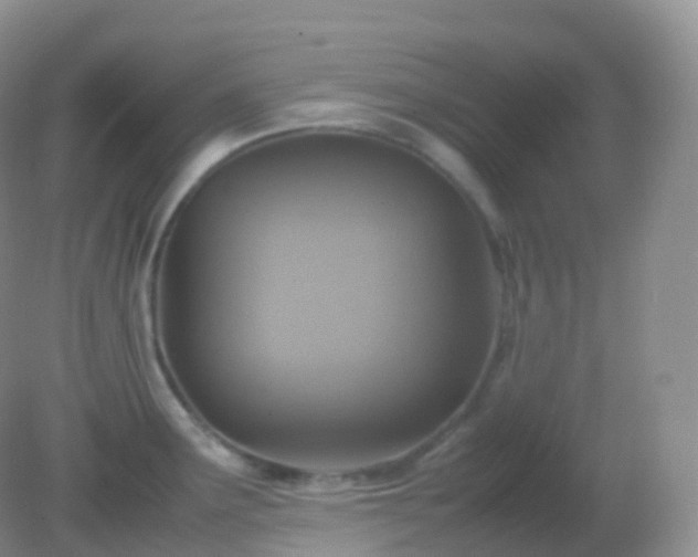 X0000082151291200701262259