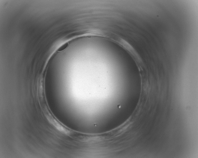 X0000082151292200701262259