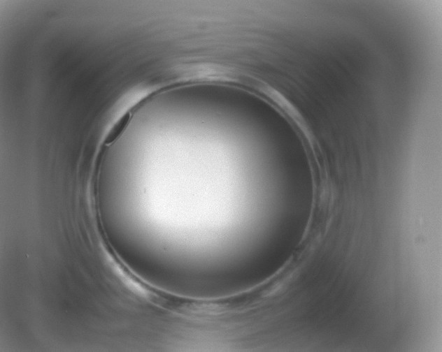 X0000082151293200701262259