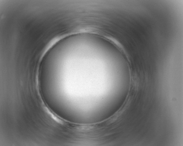 X0000082151294200701262259