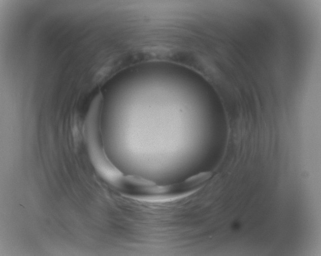 X0000082151298200701262258