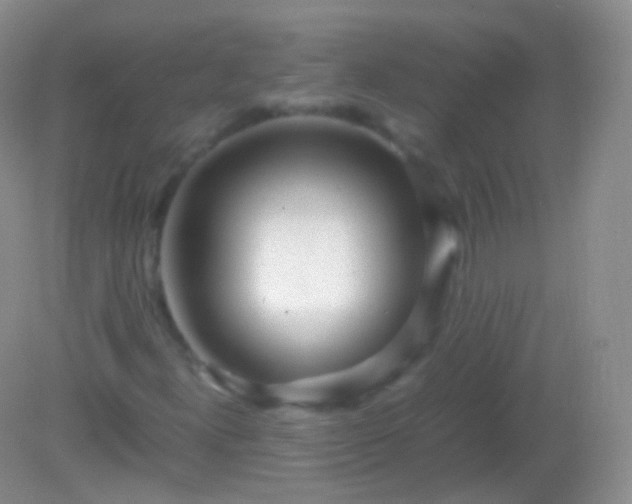 X0000082151300200701262258