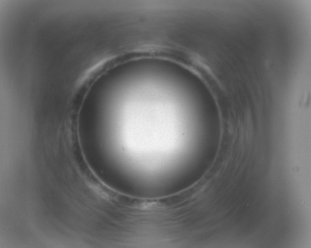 X0000082151304200701262258