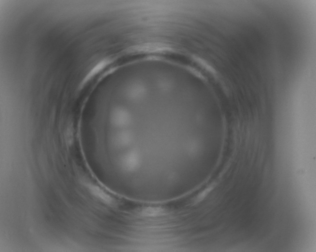 X0000082151306200701262258