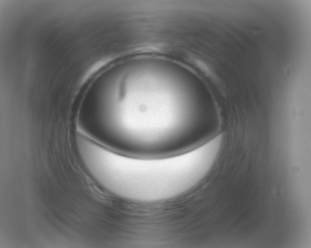 X0000082151308200701262258