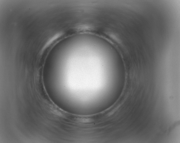 X0000082151309200701262258