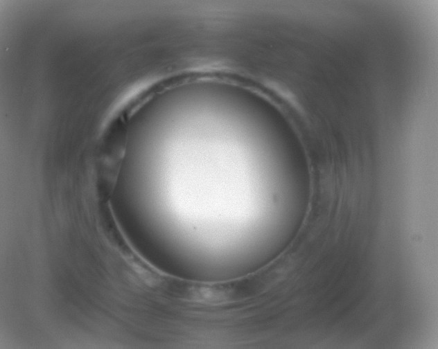 X0000082151311200701262258