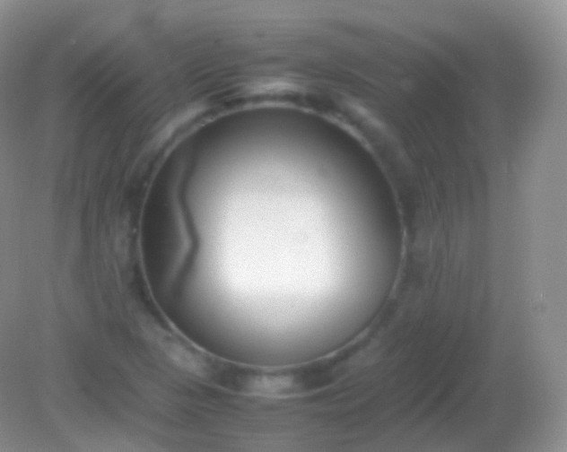 X0000082151313200701262258
