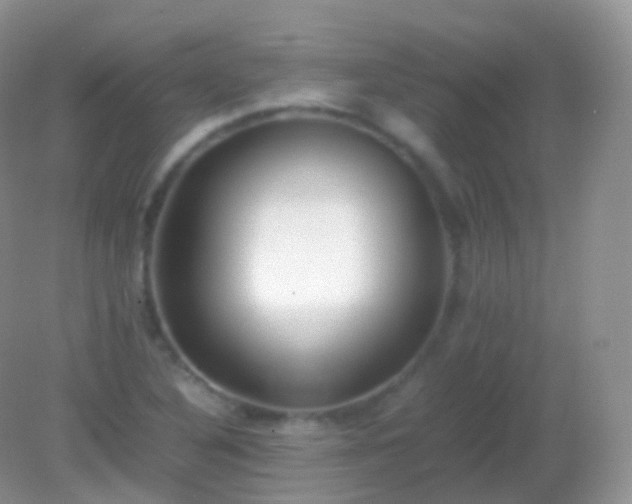 X0000082151316200701262258