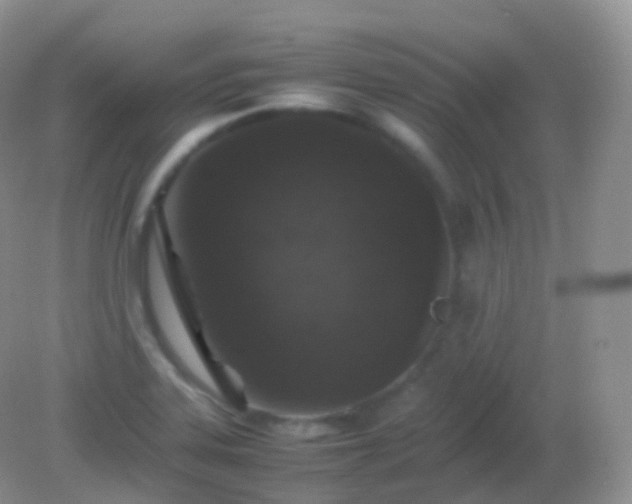 X0000082151323200701262258