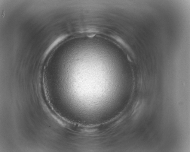 X0000082151325200701262258