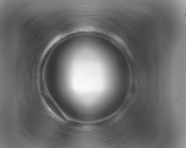 X0000082151326200701262258