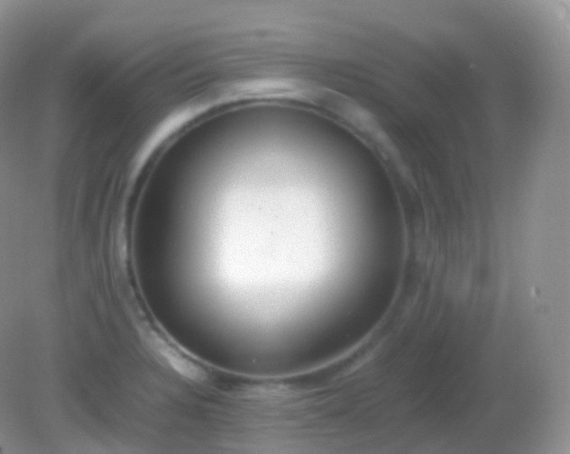 X0000082151328200701262258