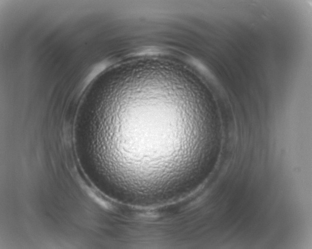 X0000082151329200701262258