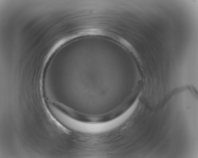 X0000082151334200701262258