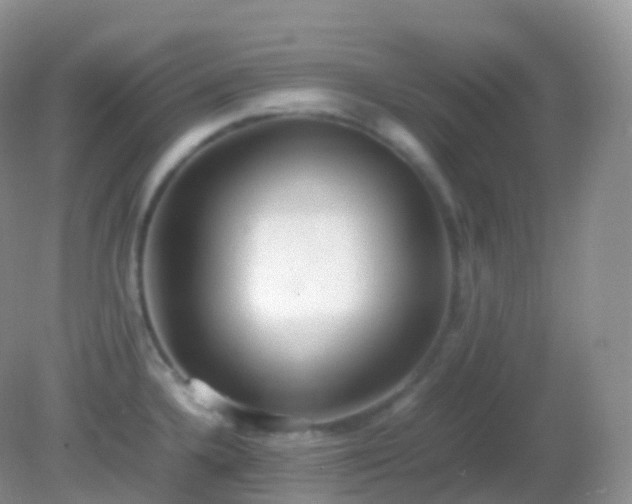 X0000082151336200701262258
