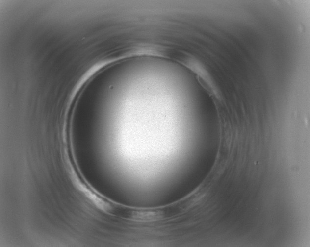 X0000082151339200701262258