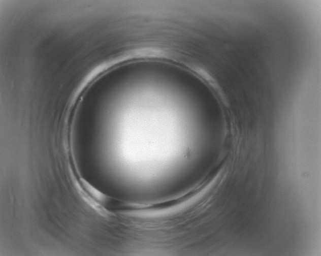 X0000082151342200701262258