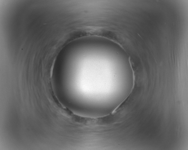 X0000082151345200701262258