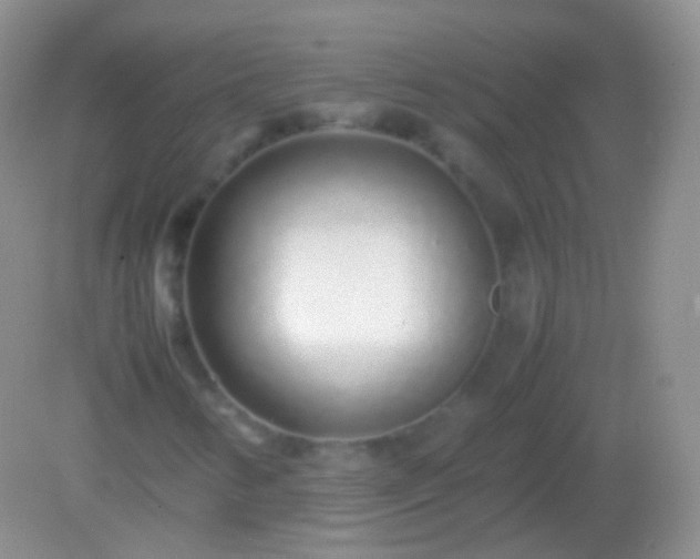 X0000082151346200701262258
