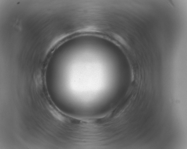 X0000082151356200701262257