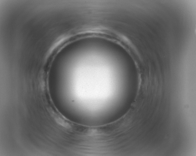 X0000082151360200701262257