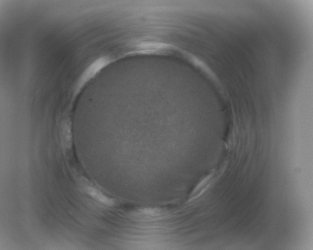 X0000082151362200701262257
