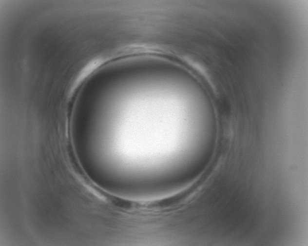 X0000082151365200701262257