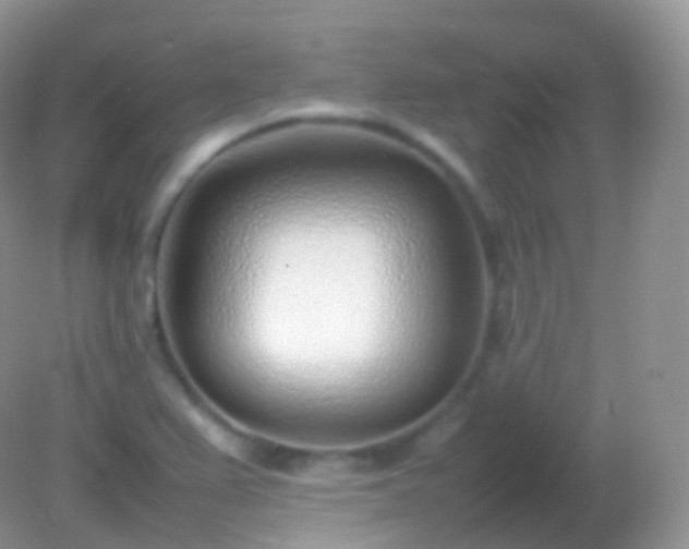 X0000082151367200701262257