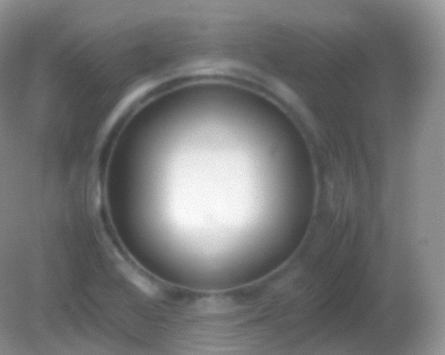 X0000082151368200701262257
