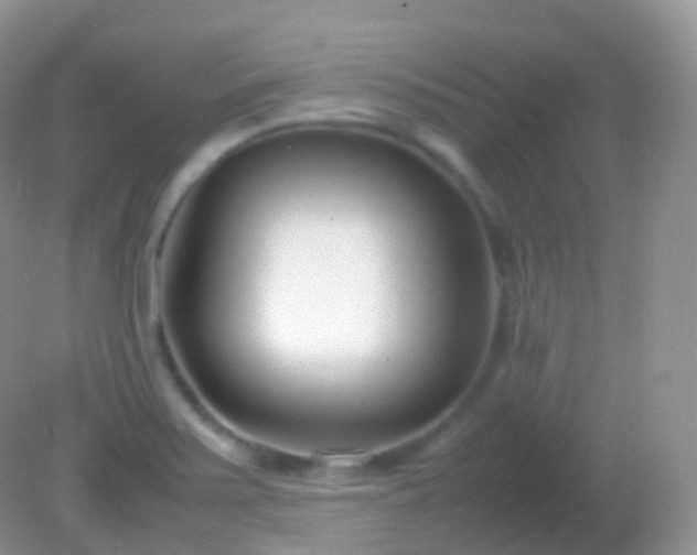 X0000082151371200701262257