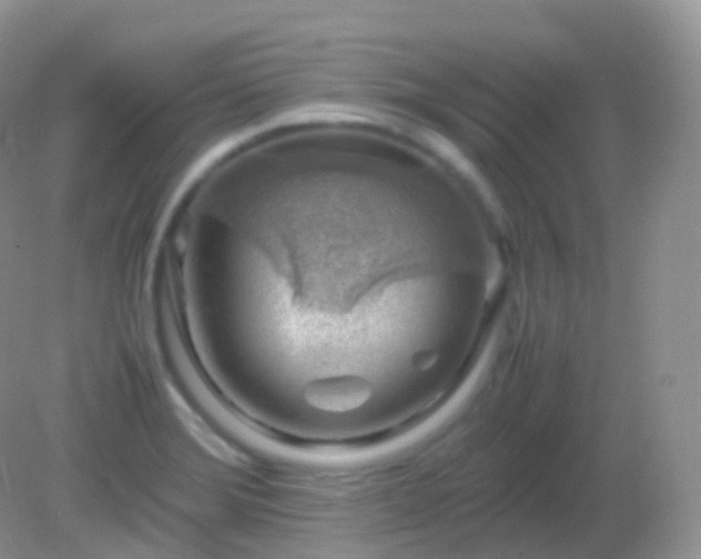 X0000082151372200701262257