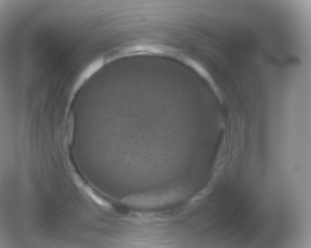 X0000082151373200701262257