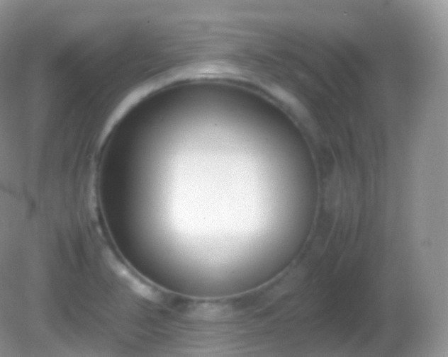 X0000082151374200701262257