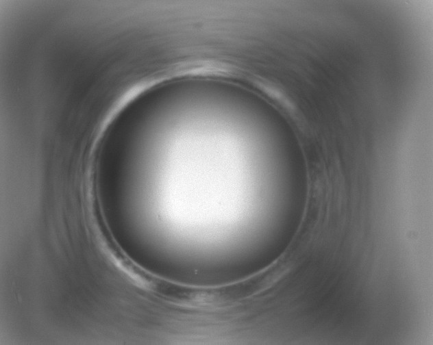 X0000082151375200701262257