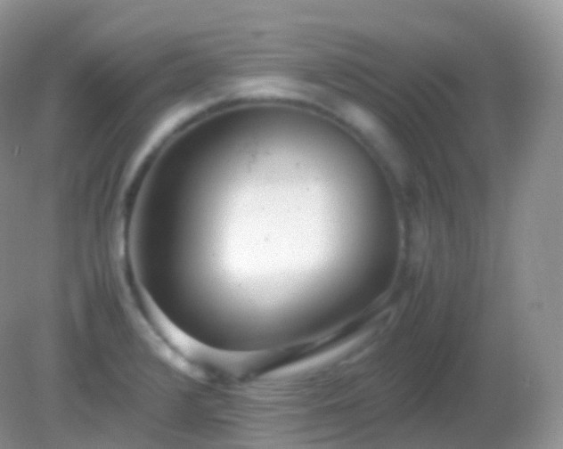 X0000082151376200701262257