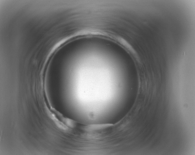 X0000082151380200701262257